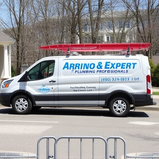 Arlington Expert Plumbing Professionals