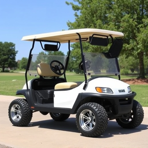 Buy Golf Carts in Fort Worth