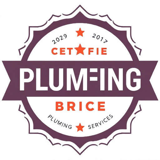 Certified Plumbing Services Arlington