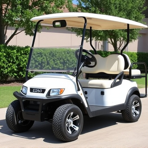 Golf Cart Rental Fort Worth