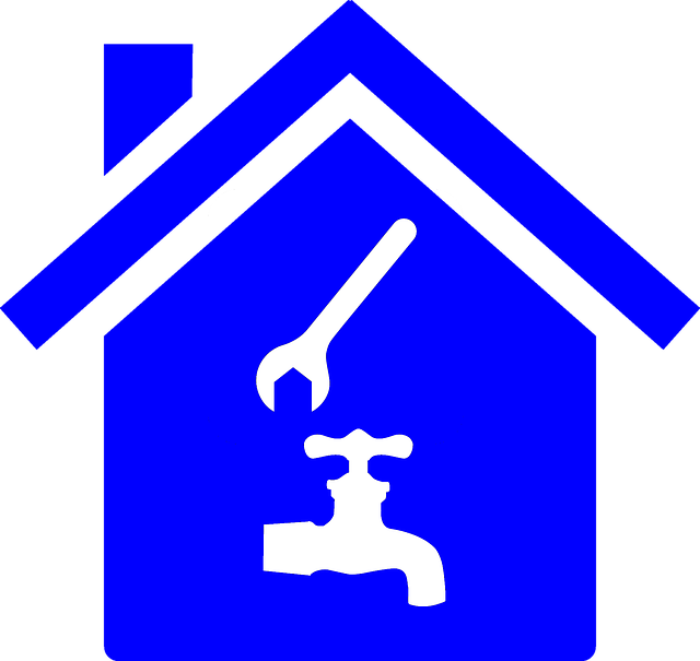 Plumber, plumbing