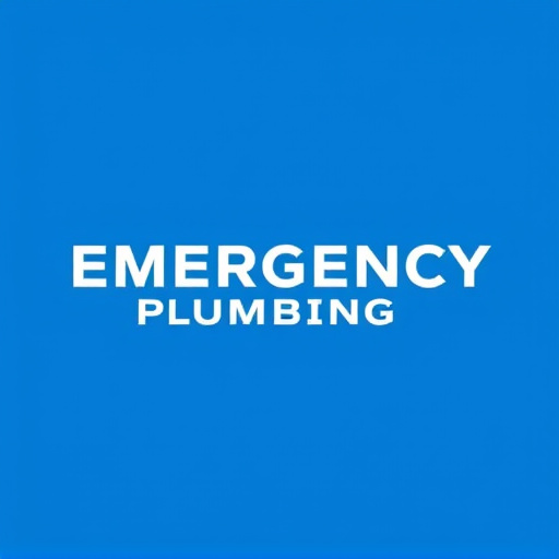 Arlington Emergency Plumbing