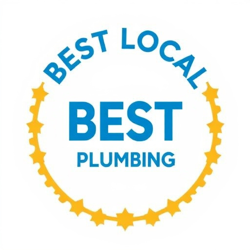 Best Local Plumber in Arlington