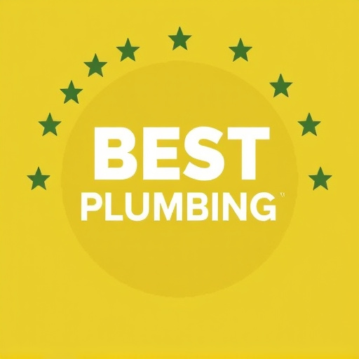 Best Local Plumber in Arlington