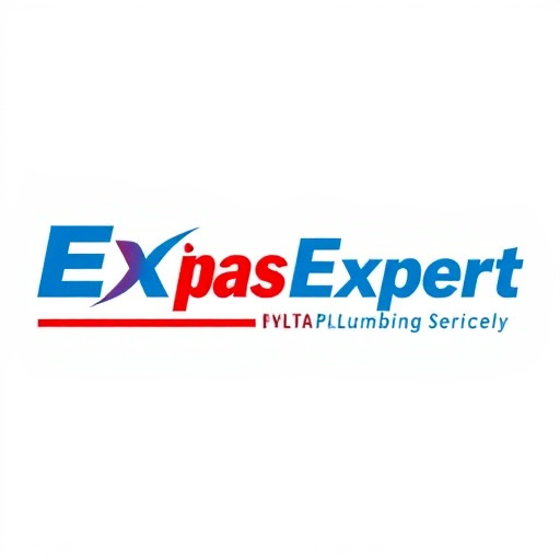 Dallas Expert Plumbing Services