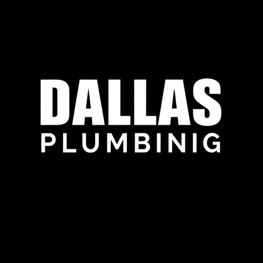 Dallas Plumbing Services