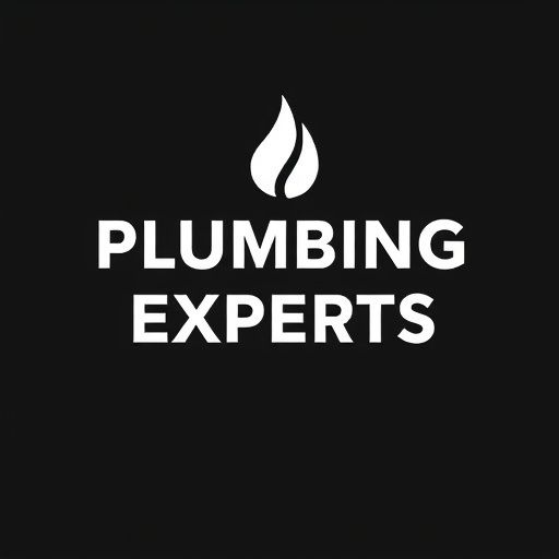 Local Plumbing Experts Arlington