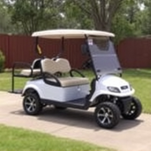 Affordable Golf Carts Dallas