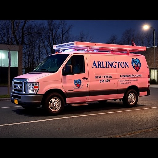 Arlington Plumbing Service