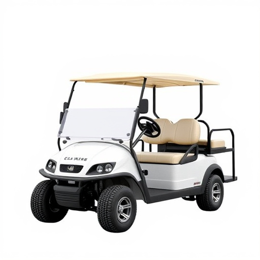 Buy Golf Carts Dallas