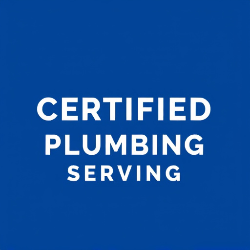 Certified Plumbing Services Arlington