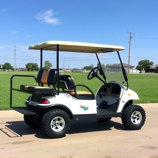 Fort Worth Golf Cart Rentals