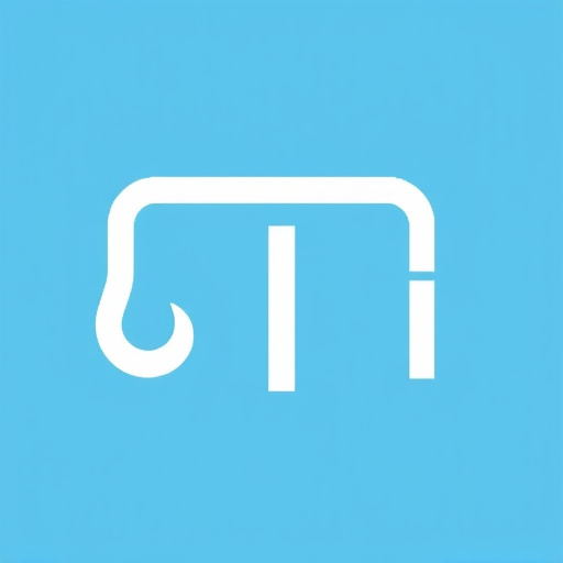 Same Day Plumbing Service Dallas