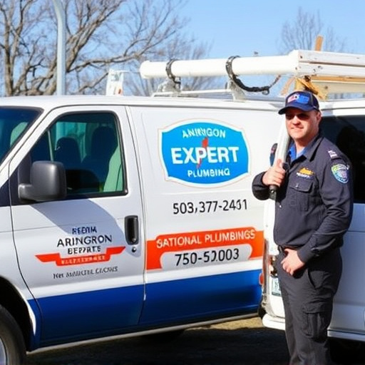Arlington Expert Plumbing Professionals