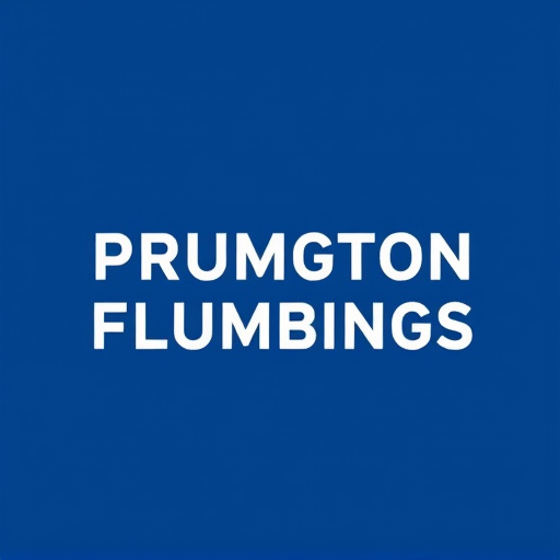 Arlington Plumbing Solutions