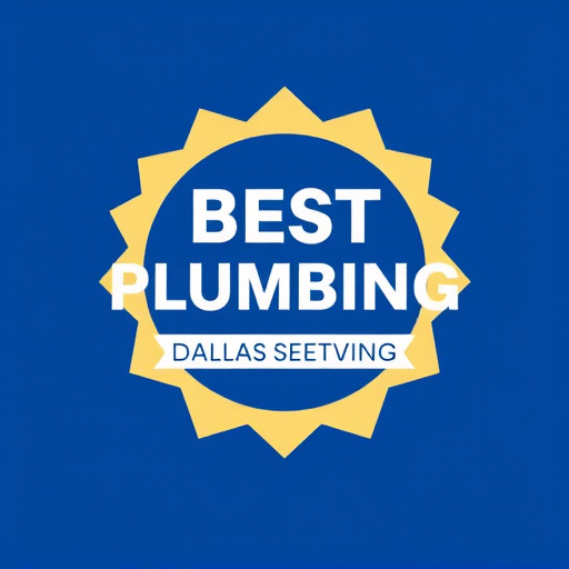 Dallas Best Plumbing Services