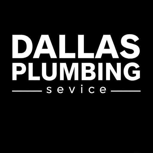 Dallas Plumbing Services