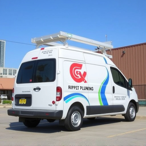 Dallas Professional Plumber Licensed