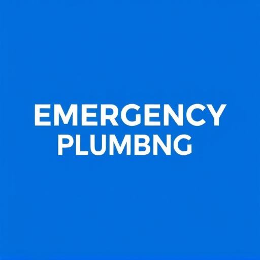 Emergency Plumbing Arlington
