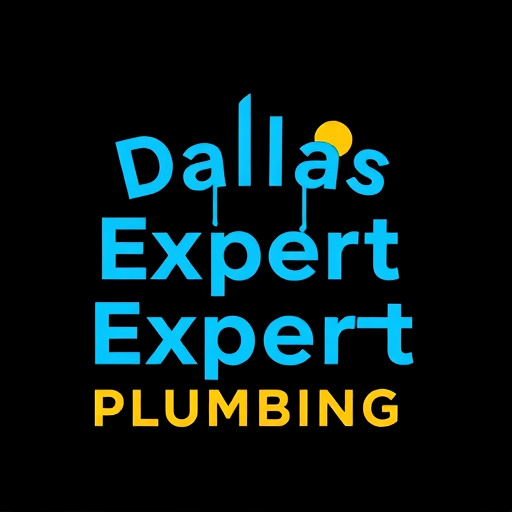 Dallas Expert Plumbing Services