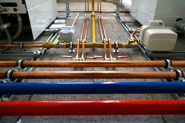 Local Plumbing Expert Dallas