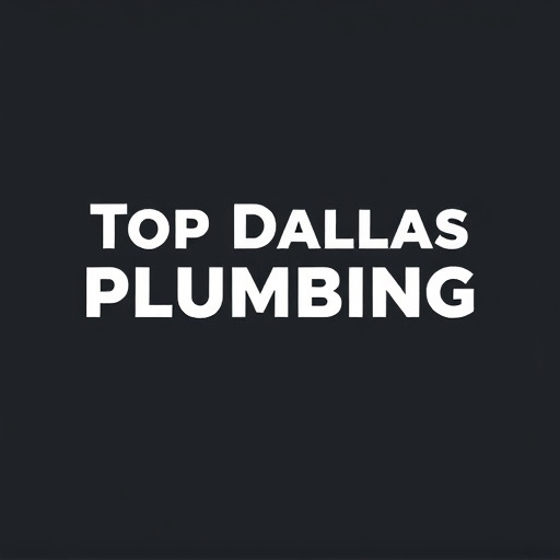 Top Dallas Plumber