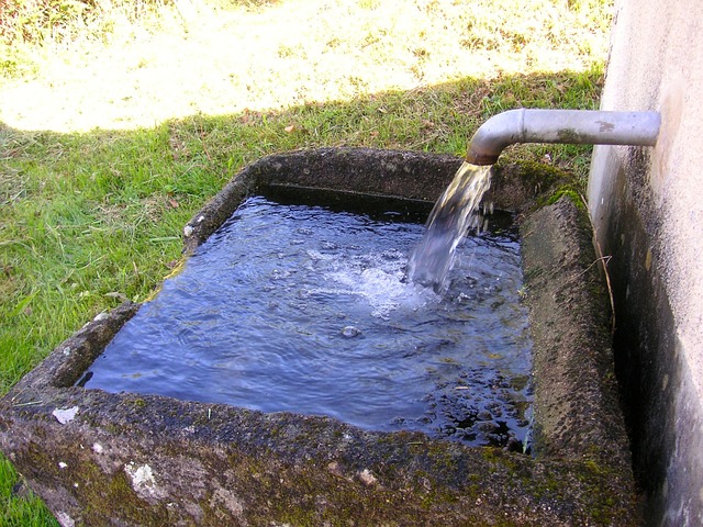 Arlington Sewer Pipe Repair