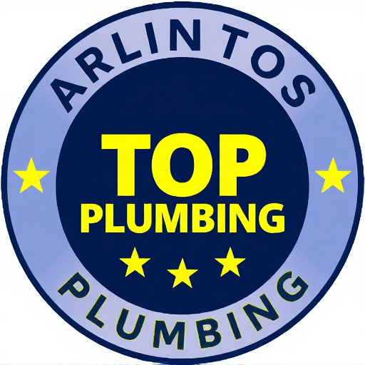 Arlington's Top-Rated Plumber