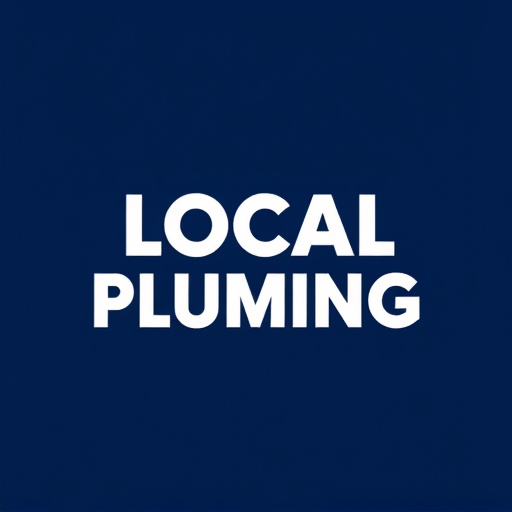 Dallas Local Plumber