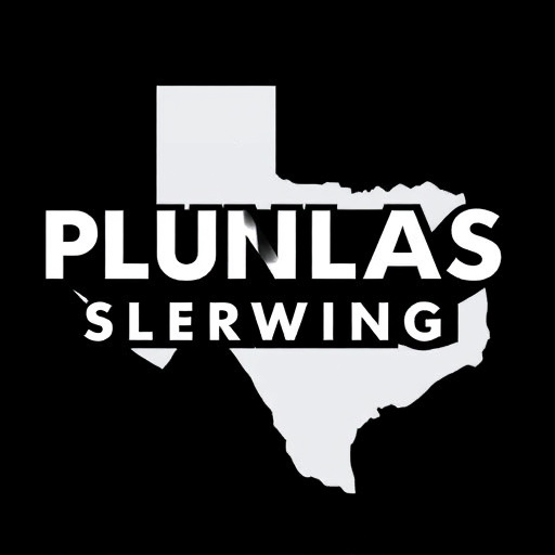 Dallas Local Plumbing Services
