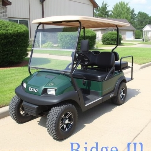 Fort Worth Golf Carts For Sale