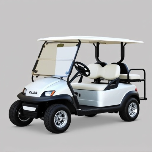 Rent Golf Car in Fort Worth