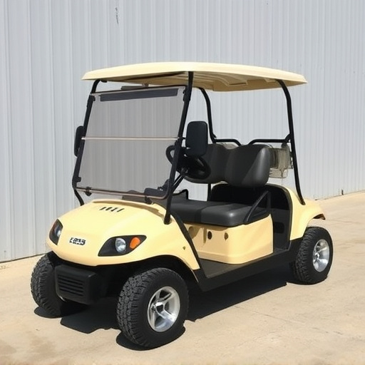 Affordable Golf Cart Rental Fort Worth