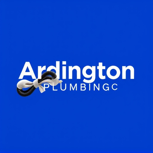 Arlington Plumbing Services