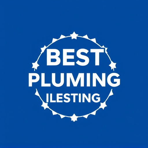 Best Local Plumber in Arlington