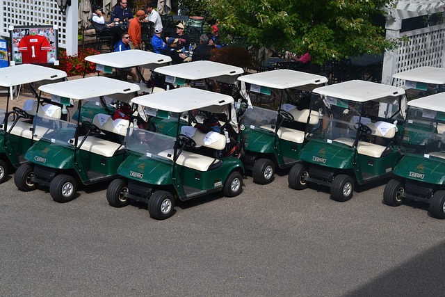 Dallas Golf Carts For Sale