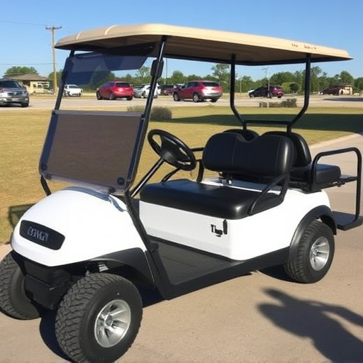 Fort Worth Golf Cart Rentals