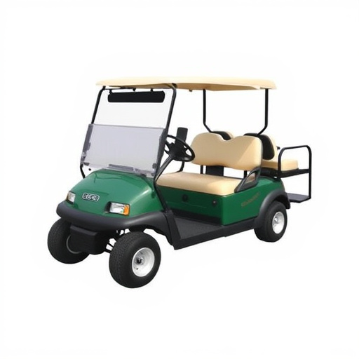 Golf Cart Rental Services Dallas