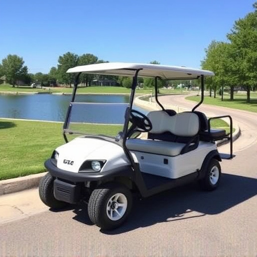 Affordable Golf Carts Dallas