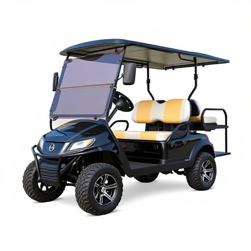 electric-golf-carts-for-sale-custom-gol-640x480-4426610.jpeg