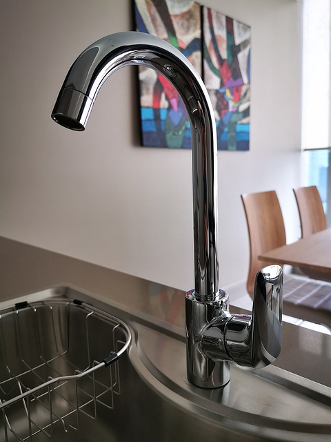 Plumber, plumbing