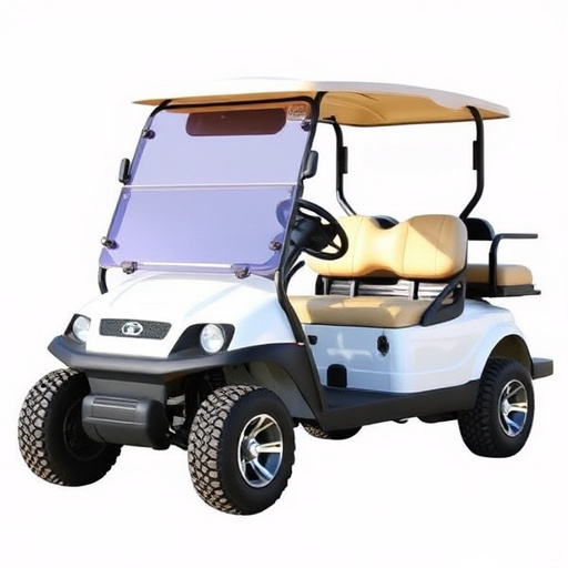 Affordable Golf Carts Dallas