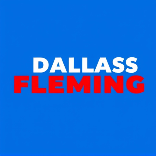 Dallas Plumber Service