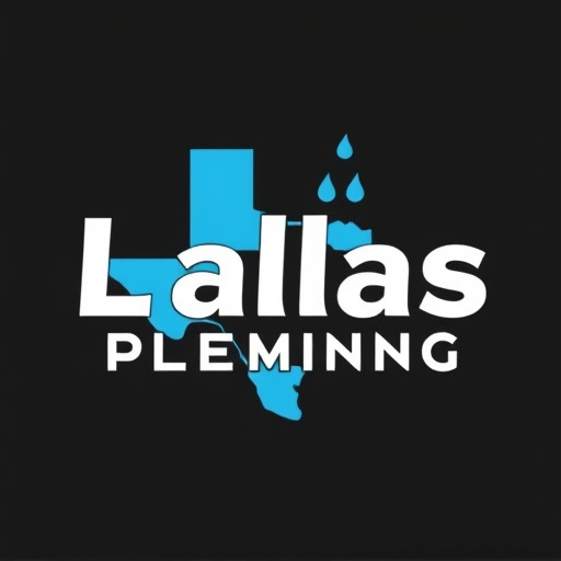 Dallas Local Plumber