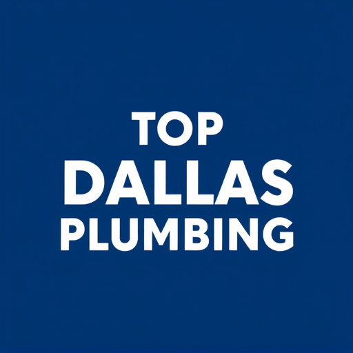 top-dallas-plumber-640x480-58975484.jpeg