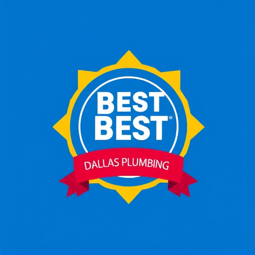 Best Plumber in Dallas