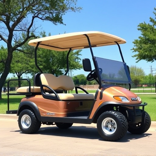 dallas-golf-cart-rental-640x480-85770090.jpeg