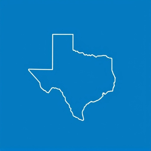 Dallas Local Plumbing Services