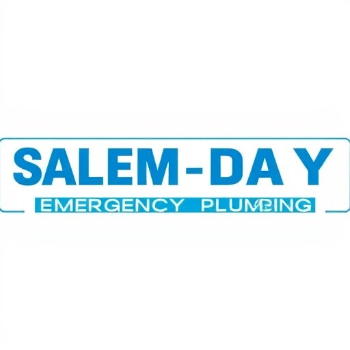 Emergency Plumber Dallas Same Day