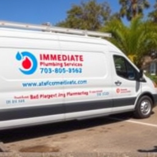 Immediate Plumbing Services Arlington